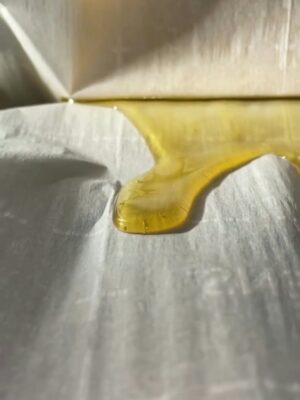Fresh press rosin latest Fresh press rosin latest