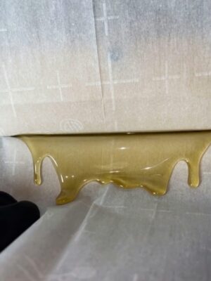 Jet Fuel fresh press hash rosin Jet Fuel fresh press hash rosin