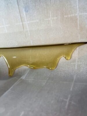 Mango Kush fresh pressed rosin Mango Kush fresh pressed rosin