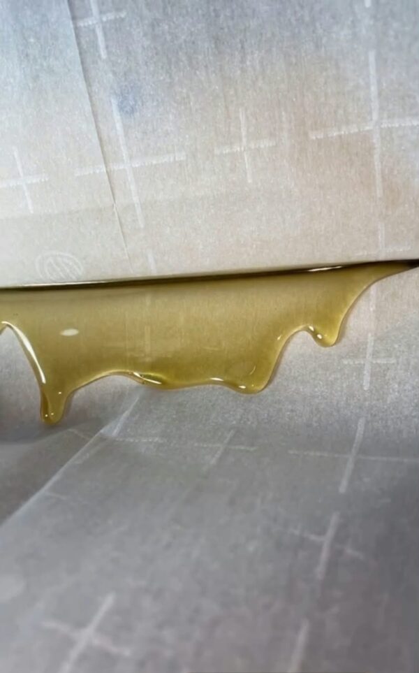 Mango Kush fresh pressed rosin