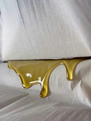 SFV OG fresh press hash rosin