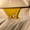 fresh frozen rosin press