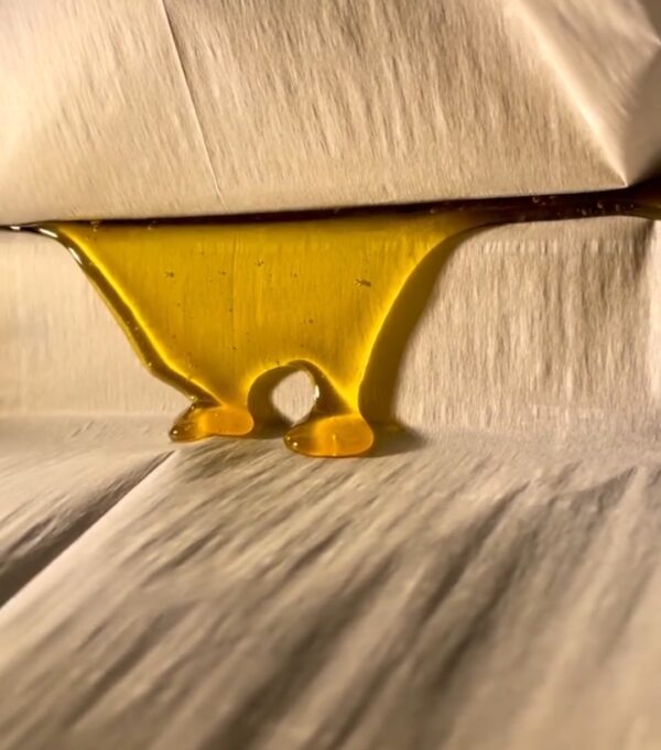 fresh frozen rosin press