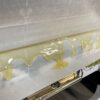 Tropical Runtz fresh press rosin